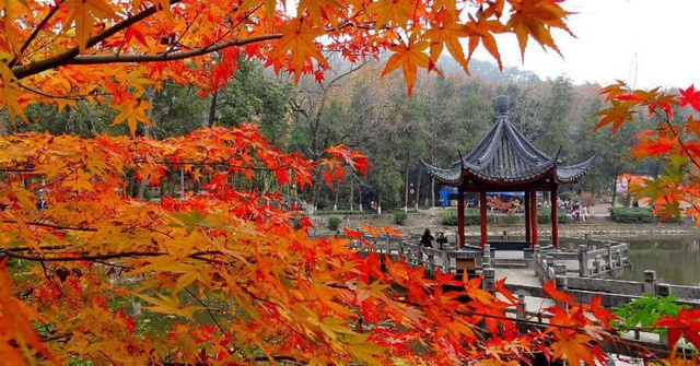 Cảnh sắc thiên nhiên Trung Quốc mùa thu 